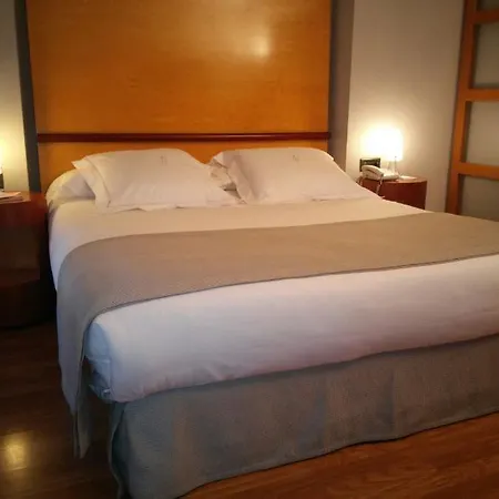 Occidental Alfonso V Hotel Leon
