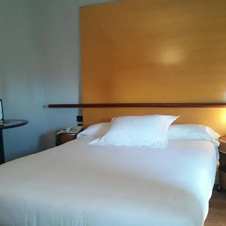 Hotel Occidental Alfonso V León